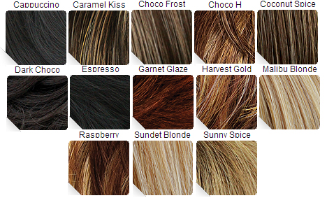 Boss Wig Color Chart