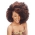 Janet Collection - Noir 2X Afro Kinky Bulk 24"